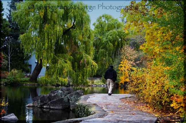 Drake Park Walking Path