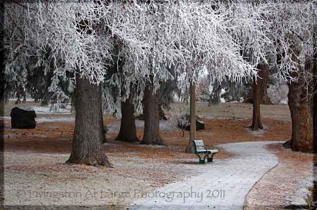 Drake Park Winter Drake Park Winter