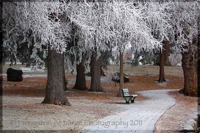 Drake Park Winter