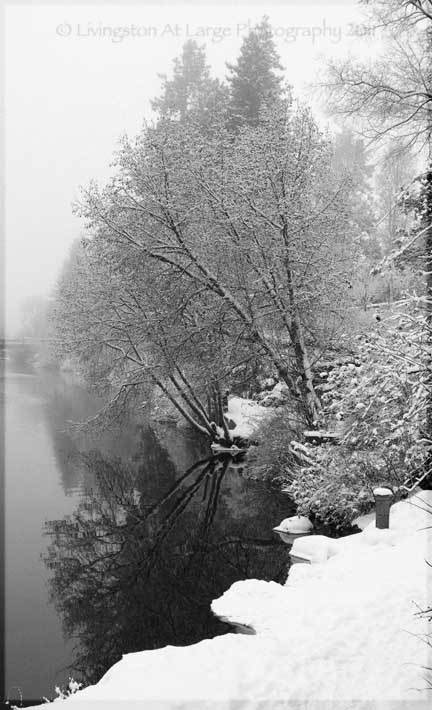 Drake Park Winter Black and White Drake Park Winter Black and White
