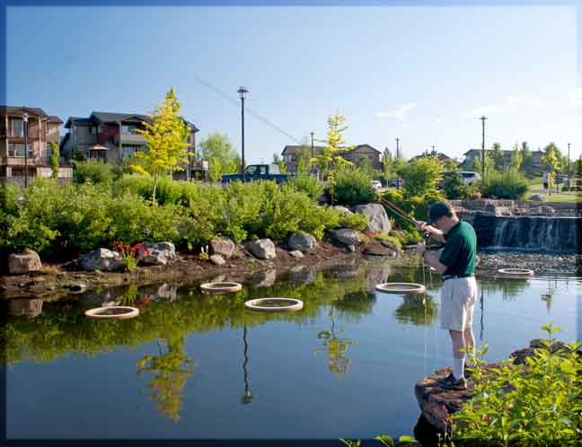 Old Mill fly Fishing