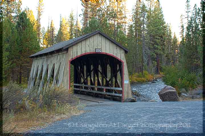 Oregon Covered Bridges-Shevlin Park