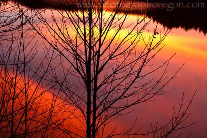 Oakridge Oregon sunset