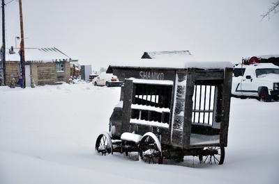 the old paddy wagon.