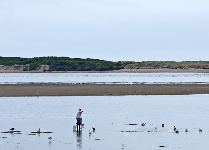 Oregon Coast Clamming