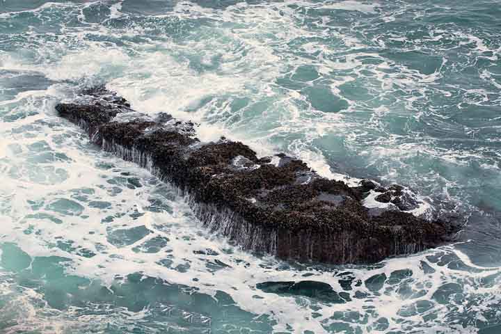 Oregon tide on rocks