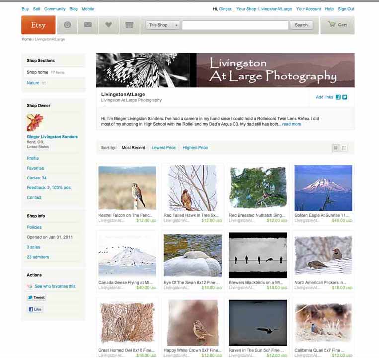 Etsy gallery store Etsy gallery store