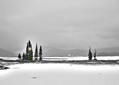 Merry Christmas from Sparks Lake