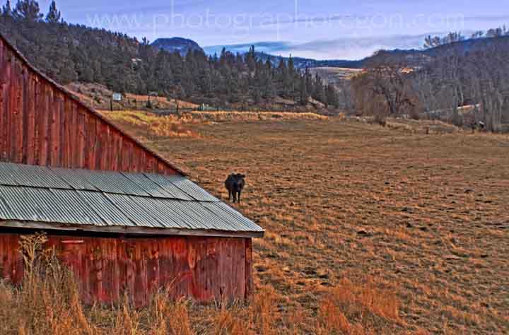 Mitchell barn