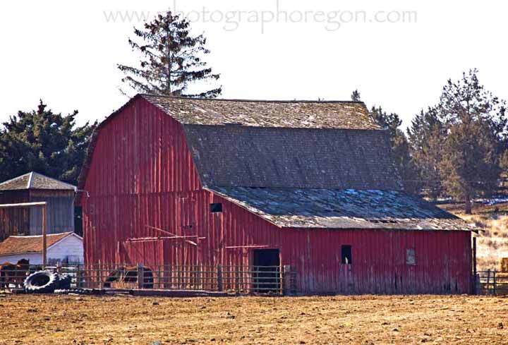 Oregon Barn Oregon Barn