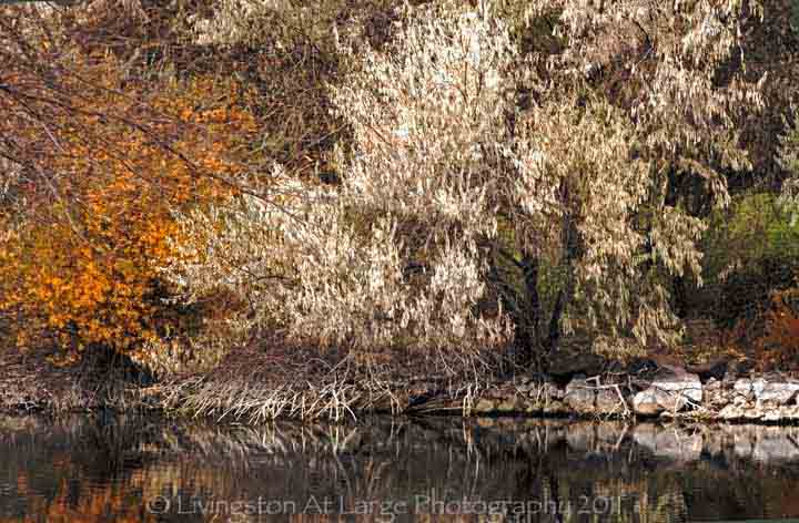 Autumn at Eagle crest Autumn at Eagle crest