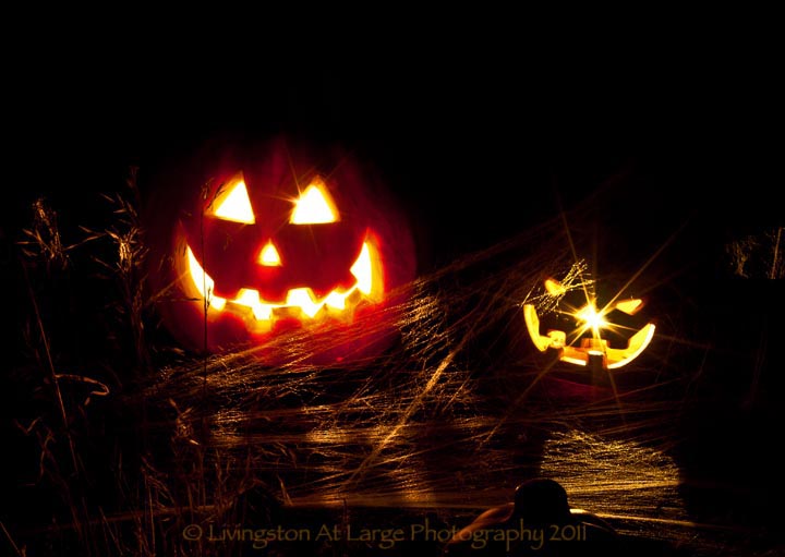 Samhain Pumpkins