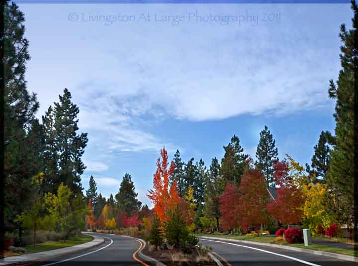 Brookswood fall colors Brookswood fall colors