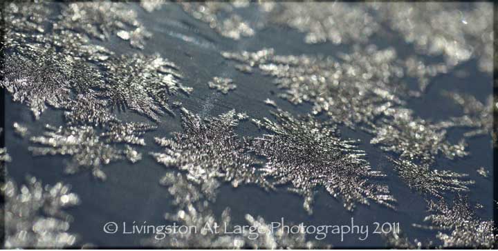 macro snowflakes