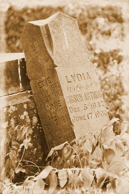 Hobson-Whitney Cemetery