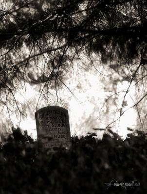 Hobson-Whitney Cemetery