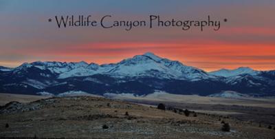 the Strawberry mountain range