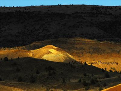 Fossil Beds