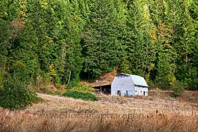 cottage grove white barn