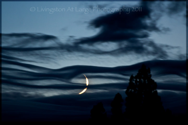 Samhain Moon Samhain Moon