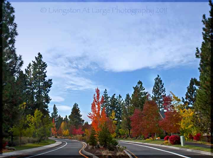 Brookswood fall colors